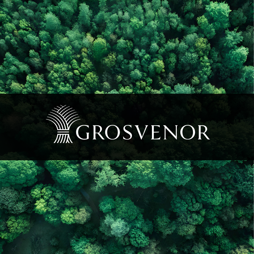 Green forest with the Gosvenor logo overlayed, as they pledge to go carbon positive. Click for article